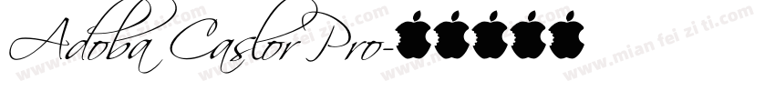 Adoba Caslor Pro字体转换
